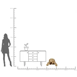 Clearance KARE Design Dekoracja stojąca Turtle XL 95x43 cm złota - KARE