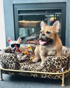 Hot KARE Design Figurka dekoracyjna Comic Dog Glasses 25x24 cm kolorowa - KARE