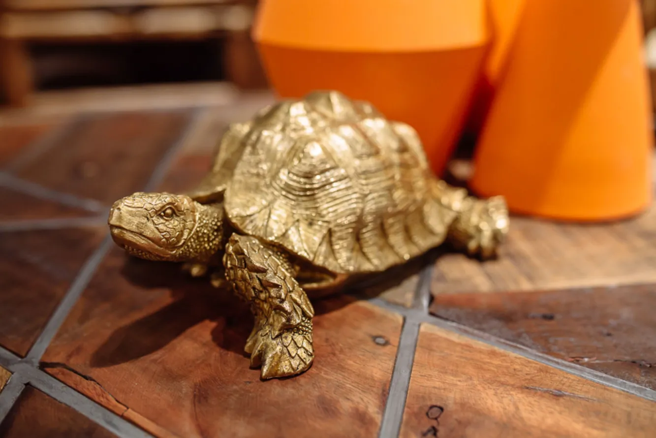 Fashion KARE Design Figurka dekoracyjna Turtle 26x20 cm złota - KARE