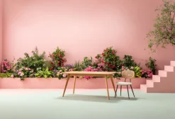 New KARE Design Krzesło do jadalni kremowe oparcie naturalne nogi stalowe 47x81 cm - KARE