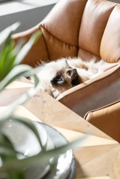 New KARE Design Krzesło z podłokietnikami Thinktank 62x85 cm jasnobrązowe skóra naturalna - KARE