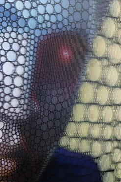 Discount KARE Design Obraz 3D King  57x70 cm - KARE