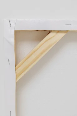 Fashion KARE Design Obraz Headdress Dog 80x80 cm kolorowy - KARE