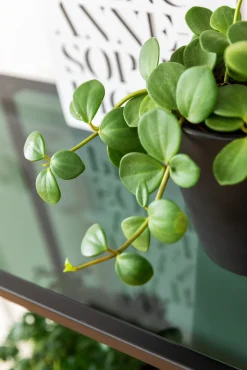 Best KARE Design Regał Loft 115x195 cm czarny - KARE