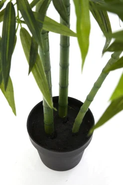 Fashion KARE Design Roślina dekoracyjna Bamboo Tree 200 cm - KARE