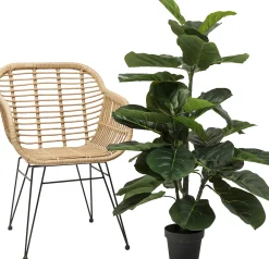 Online KARE Design Roślina dekoracyjna Fiddle Leaf 120 cm - KARE