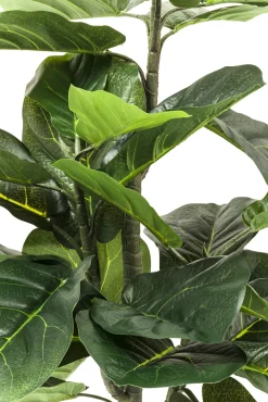 Online KARE Design Roślina dekoracyjna Fiddle Leaf 120 cm - KARE