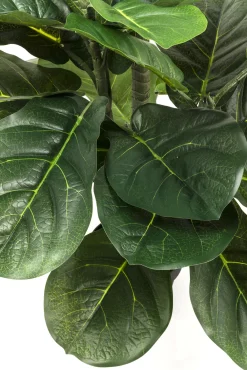 Online KARE Design Roślina dekoracyjna Fiddle Leaf 120 cm - KARE
