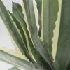 Discount KARE Design Roślina sztuczna do salonu agawa 50 cm - KARE