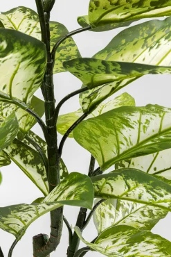 Hot KARE Design Roślina sztuczna do salonu difenbachia 100 cm - KARE