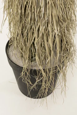 Clearance KARE Design Roślina sztuczna wysoka Yucca Rostrata 240 cm - KARE