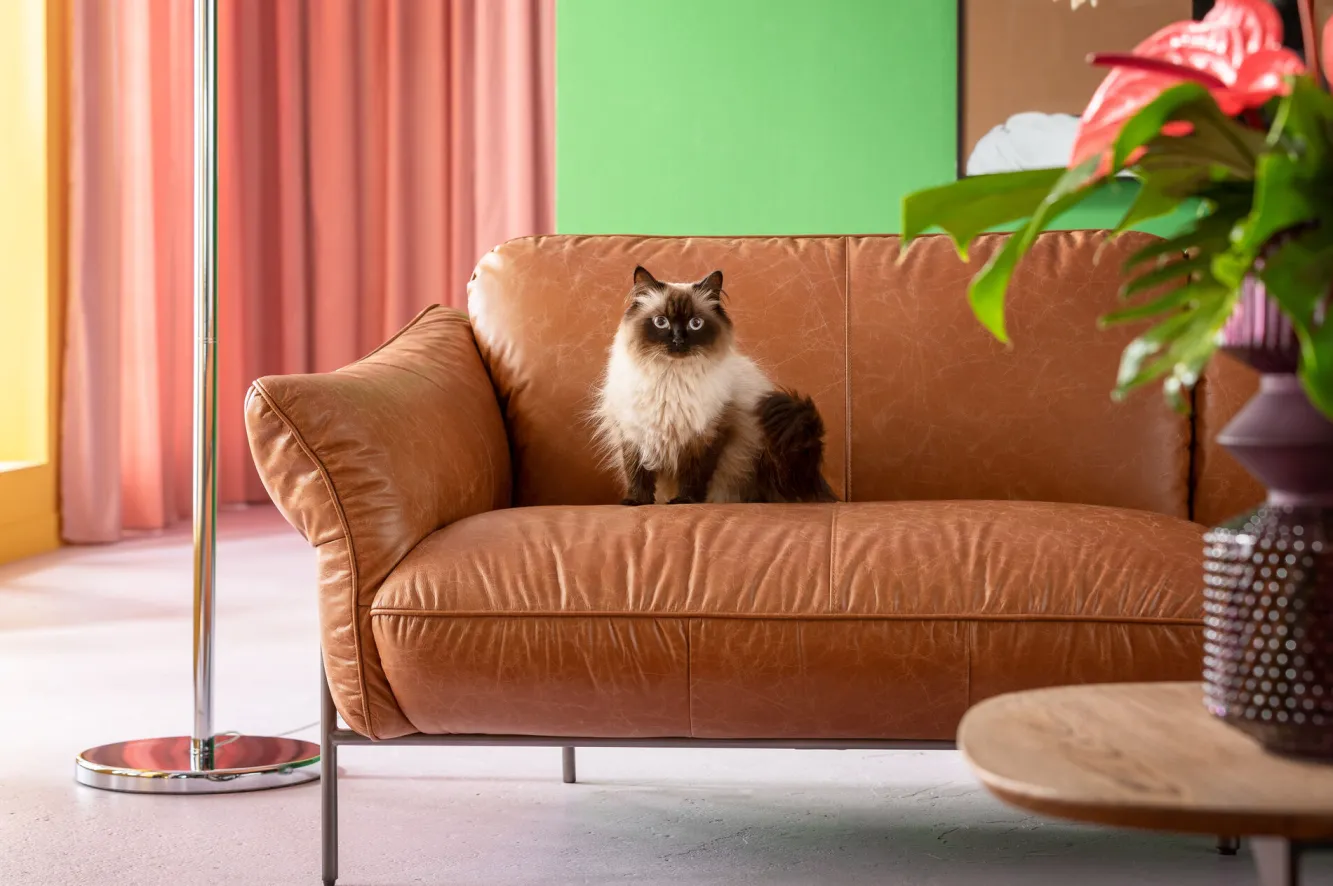 Online KARE Design Sofa ekskluzywna 3-osobowa brązowa skóra semianilinowa nogi czarne 226 cm - KARE