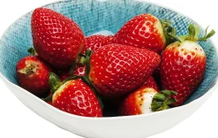 Online KARE Design Talerz głęboki Mustique Ø17 cm - KARE